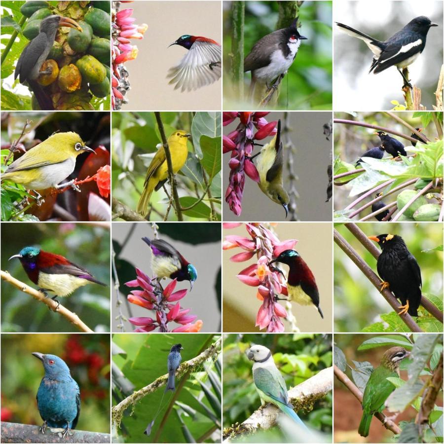 Flower Valley Plantation Homestay Munnar Exteriér fotografie